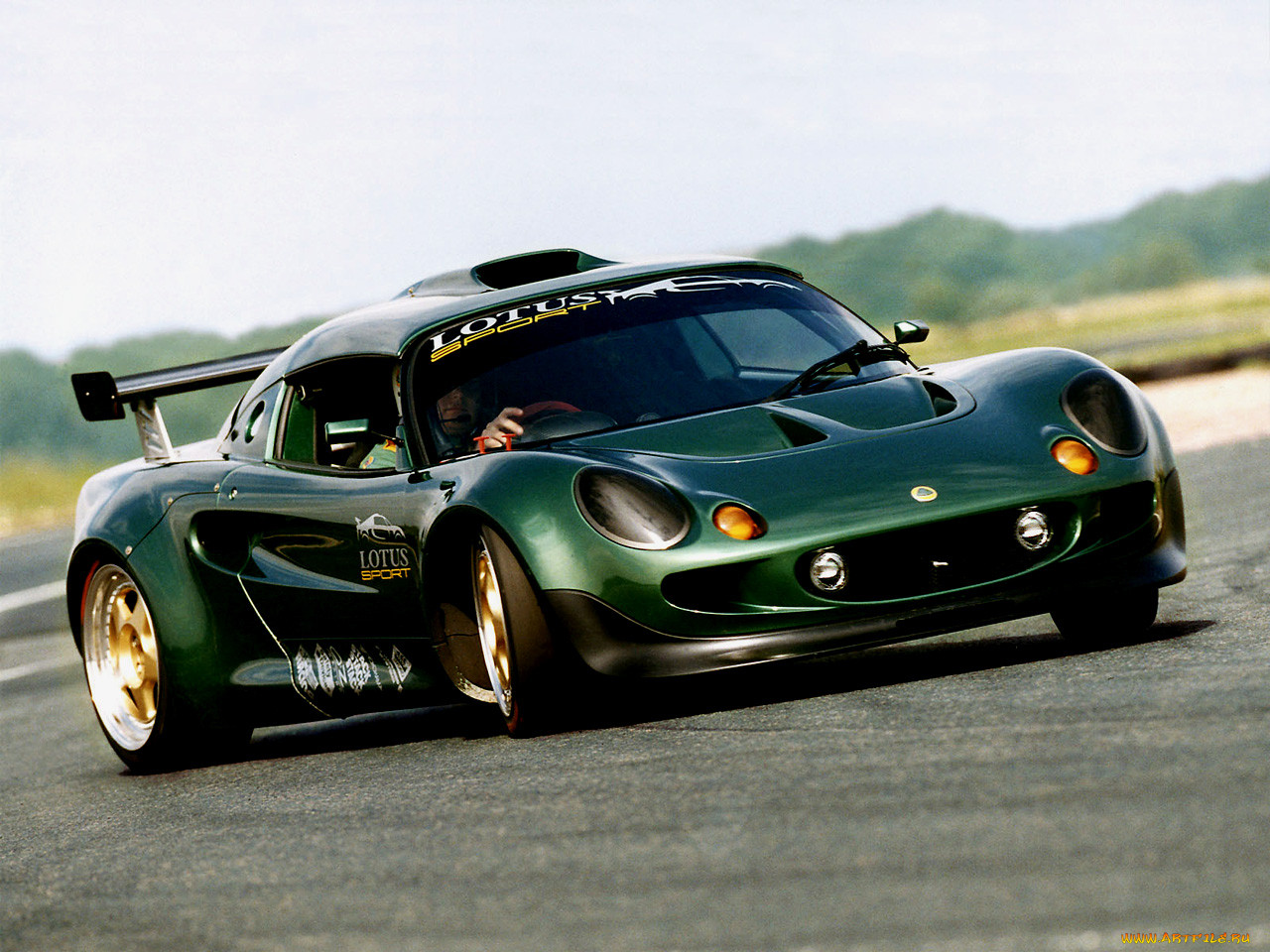 , lotus